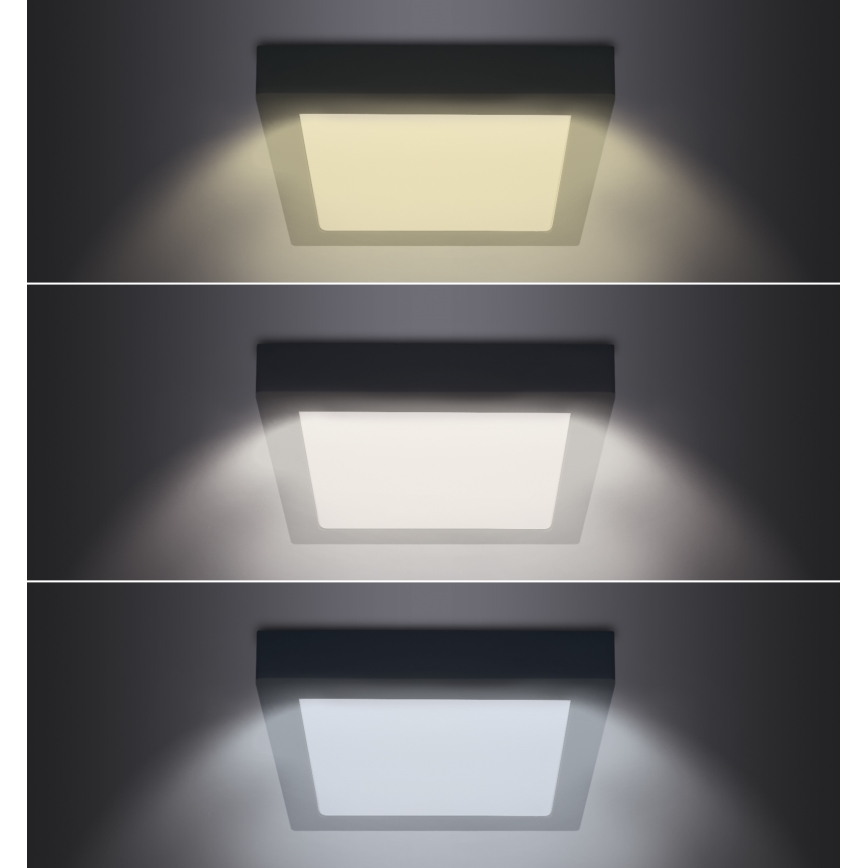 Plafón LED LED/24W/230V 3000/4000/6000K negro angular