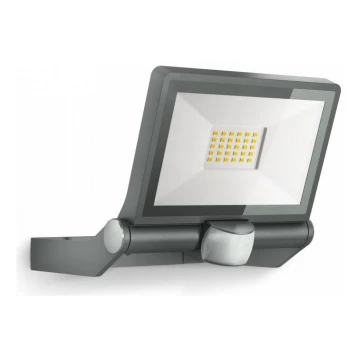 Steinel 065249 - LED Reflector con sensor LED/18,6W/230V IP44