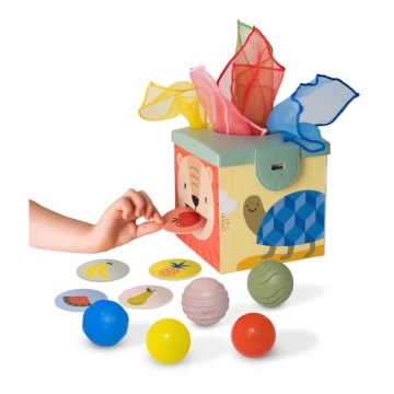 Taf Toys - Caja de juegos interactiva MAGIC BOX