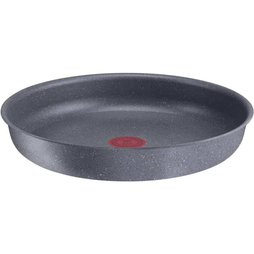 Tefal - Sartén INGENIO NATURAL FORCE 24 cm