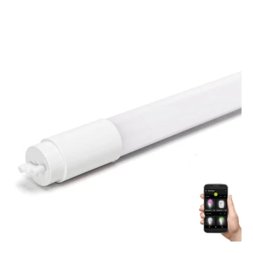 Tubo fluorescente LED T8/10W/230V 6500K 60 cm - Aigostar