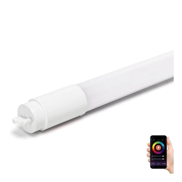 Tubo fluorescente LED T8/18W/230V 2700-6500K 120 cm - Aigostar