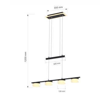 Wofi 7054-502 - Lámpara de araña LED regulable JESSE LED/21W/230V negro